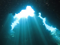 Lovina Dive Bali