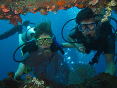 Lovina Dive Bali